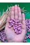 8mm Light Pink Wooden Beads (175 Pieces) Hole Diameter 3mm Macrame Jewelry Bracelet Wooden Round - 2