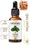 Patchouli Oil (Patchouli Oil) Essential Oil 30 ml Glass Bottle with Dropper