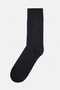 Black Socks - 2