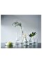 TIDVATTEN Vase, clear glass, 30 cm - 2