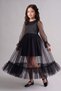 Black Glittery Long Tulle Skirted Dress for Girls - Harriet