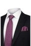 Plum Patterned Silk Tie Set
