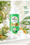 Foaming Hand Soap with Lemon Balm and Sea Buckthorn Herbal Ingredients 1000 ml