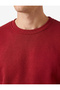 Cotton Long Sleeve Raised Crew Neck Men's Basic Sweatshirt - 4
