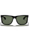 Rb4165 601 71 55 Men's Sunglasses - 3