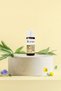 Niaouli Oil 10 ml (100% Natural Essential Oil) - 2