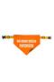 Fluffy Cat and Dog Leash Scarf Bandana - 2