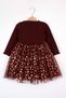 Baby Girl Dress with Burgundy Star Printed Tulle Skirt - Karen - 2