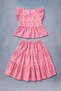 Girl's Combed Cotton Lined Brode Blouse and Skirt Set - 2