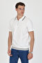 Polo Collar 100% Cotton Short Sleeve T-Shirt - 4