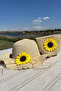 Summer Girl's Gift Straw Hat Bag Set Sunflower Model |   Sunscreen Beige Beach Combination
