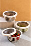 Linea 3 Pieces 1 Liter Round Leak-Proof Snack & Fruit & Legume Storage Container White Smoked - 5
