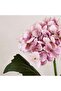Hydrangea Artificial Stem 20.32x12.7x41.91cm- Pink - 2