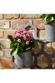Hive Metal 4pc Set Wall Hanging With 3 Planters 70.8x15.8x75cm - Grey - 2