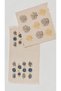 Asvâ Home 2-Piece Deniz Peshtemali 80X175 cm 100% Cotton Eye Motif and Coral Pattern Fringed Beach Towel - 2