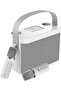 -219 Bluetooth Karaoke Speaker System with Dual Wireless Microphones – Powerful and Portable Sound System