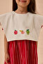 Elma Embroidered Striped Dress Red - 5