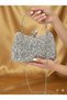 Women's Metal Drop Model Evening Dress and Special Occasion Portfolio Evening Dress Bag with Chain Strap