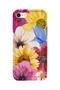 iPhone Se Compatible Printed Transparent Phone Case |   Collection: Floraluxe Botanica