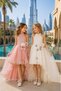 Short Front, Long Back Detachable Skirt, Half High Collar, Tulle Dress with Brooch Flower Detail, 8-12 Years Old, Special Occasion, Birthday - 4