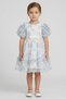 Toddlers Girl Floral Print Mesh Dress, Multicolor