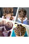 300 Pcs Mini Elastic Hair Bands in Jar, Multicolour, Rubber, Cute Bunny Lid, Multipack - 6