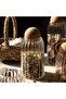 3-Piece Ball Striped Glass Jar with Mushroom Lid and Spice Jar Set - 2