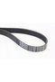 Curea Poly-V Continental 6PK922 EXTRA