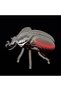 Puzzle 3D Goliath Beetle - 6