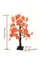 Decorative Tree with Lights, Small Model, with Socket, Model 122-26 - Offer - 4
