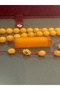 BAKALİT - 2