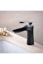 Black painted bathroom faucet, basin mixer faucet (with hose) - 3