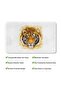End of the Series Cute Microfiber Non-Slip Base Machine Washable Bath Mat 50 X 80 - 6
