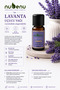 Lavender Essential Oil 100% Pure 10 ml - 4