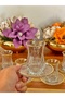 Echo Premium Real Gold Gilded 6-Person 12-Piece Tea Set Tea Set Gift Dowry Glass