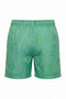 Men's Patterned Elastic Waist Lace-Up Quick Dry Sea and Beach Shorts with Pockets - 4