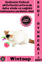 # Toy Colorful Feather Mouse Fun Moving Pet Toy Cat Playing with Mouse in the Cage Maze Game
