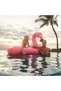 Flamingo Ride-On - 4