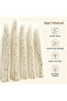 FFD Dried White Curly Willow Branches, Natural Decorative Twigs for Home & Event Styling - 3