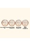 Rose Matte Powder Compact Powder 01-02-03-04 |   Matte Finish Face Powder That Provides Oil Control - 2