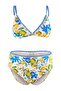 Çiçek & Limon Desenli Nakışlı Üçgen Yüksek Bel Bikini Takımı TBBSS26CB00011 - 5
