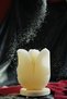 Open Tulip Model Salt Lamp with Wooden Base Decorative Ambient Lamp - 6