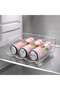 Verde Fridge Bottle Organizer 28.5x21x10.5cm -clear