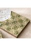 Mangifera 4-piece Mango Wooden Coaster 10x10x1cm -green & Natural - 2