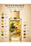 External Bloom 50 ML - 2