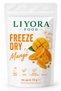 Dry Fruit Chips Freeze Dry Mango 15 g Freeze Dried I
