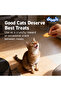 Cat Biscuit Jar 110g - 6