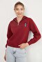 3 Thread Teddy Bear Embroidered Half-Zip Sweatshirt - 4