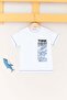 100% Cotton Think Printed Boy's T-Shirt