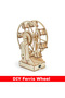 Creative Electric Ferris Wheel DIY Science Set Wooden Puzzle Craft Technology Educational Toys for C